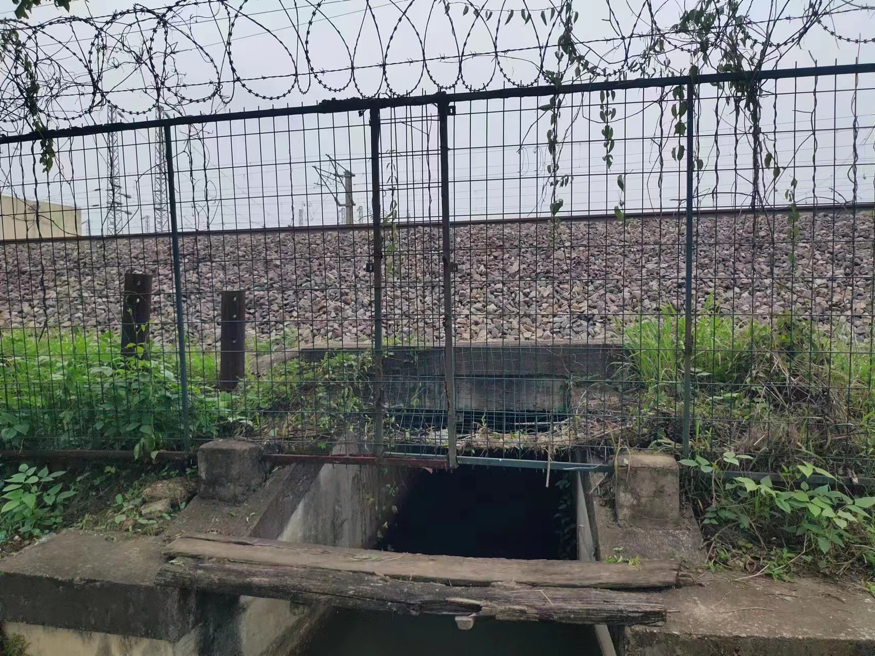 1689241407112922.jpg 1689241407112922.jpg